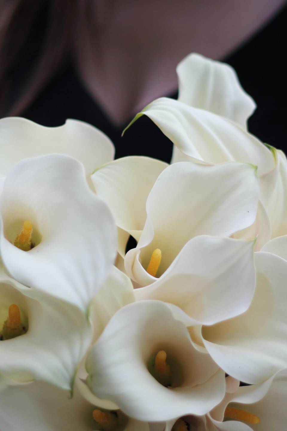 Калла белая (white Calla) - с добавлением зелени