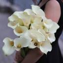 Калла белая (white Calla) - миниатюра