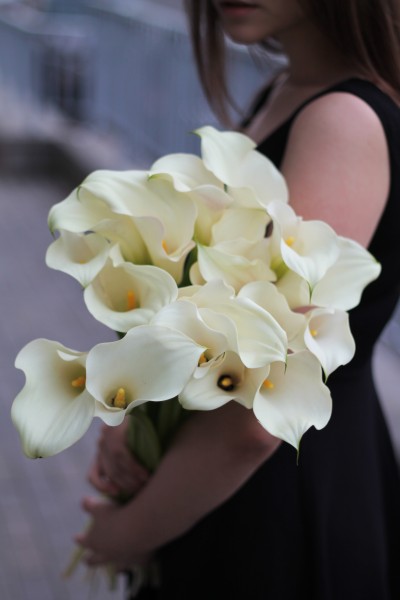 Калла белая (white Calla)
