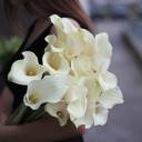 Калла белая (white Calla) - с доставкой по Минску - миниатюра