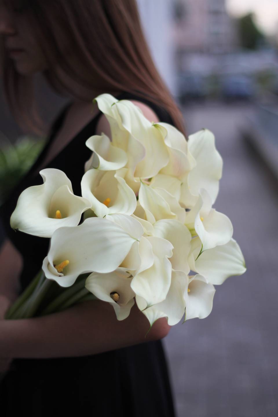 Калла белая (white Calla) - с доставкой по Минску