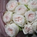 Роза OHara (Охара) - подарочное оформление - миниатюра