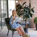 Фикус Бургунди на плетеном стволе - с добавлением зелени - миниатюра 