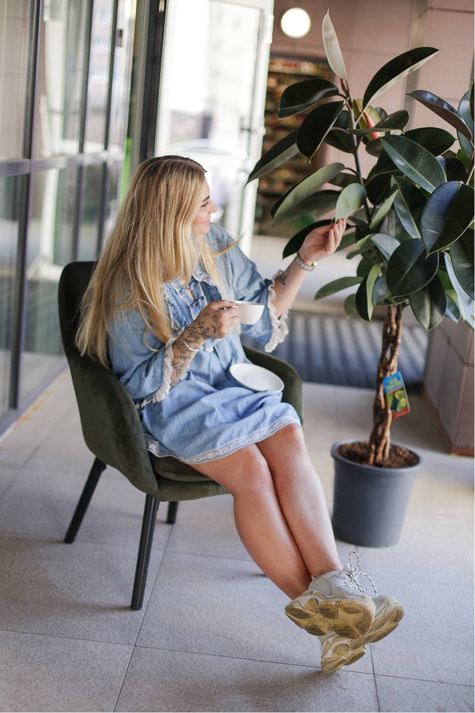 Фикус Бургунди на плетеном стволе - быстрая доставка в Минске