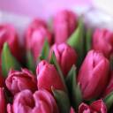 Букет Яркий Пурпур - с доставкой по Минску - миниатюра