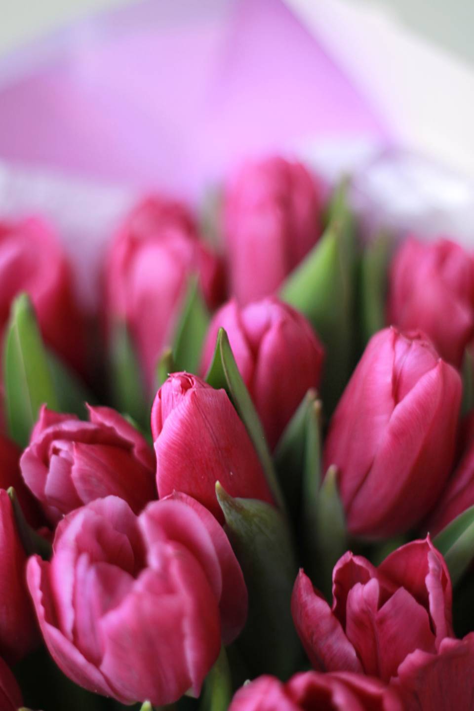 Букет Яркий Пурпур - с доставкой по Минску