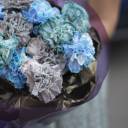 Букет Космос - с добавлением зелени - миниатюра 