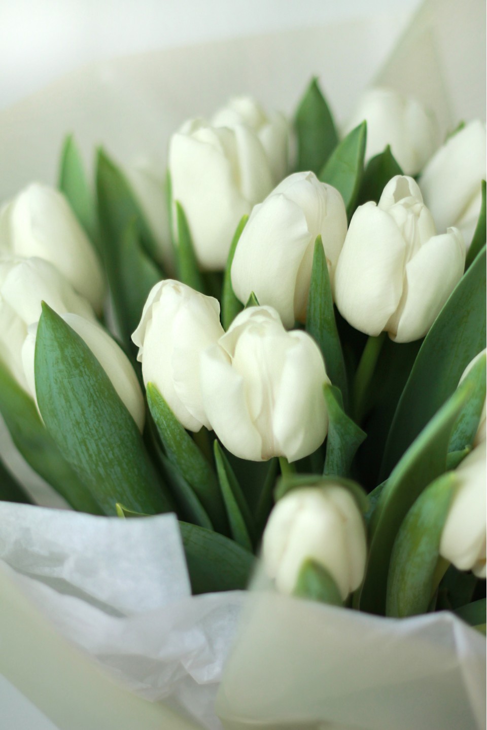 Букет Белый Шепот - с добавлением зелени