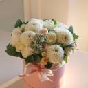 Георгины в коробочке - миниатюра