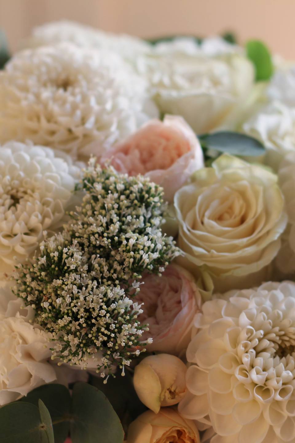 Георгины в коробочке - с добавлением зелени