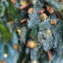 Ель новогодняя Мшистая - с добавлением зелени - миниатюра 