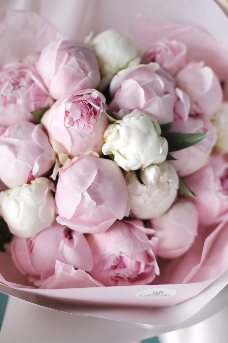 Букет пионовСаблино - с доставкой по Минску