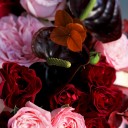 Композиция Мурэлла - с доставкой по Минску - миниатюра