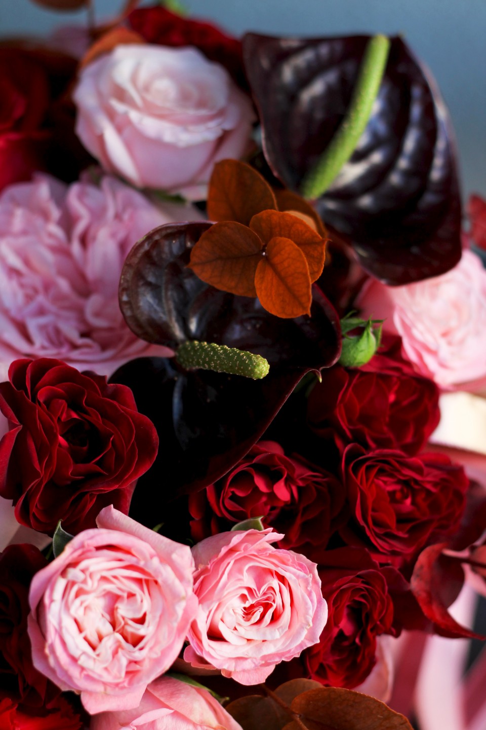 Композиция Мурэлла - с доставкой по Минску