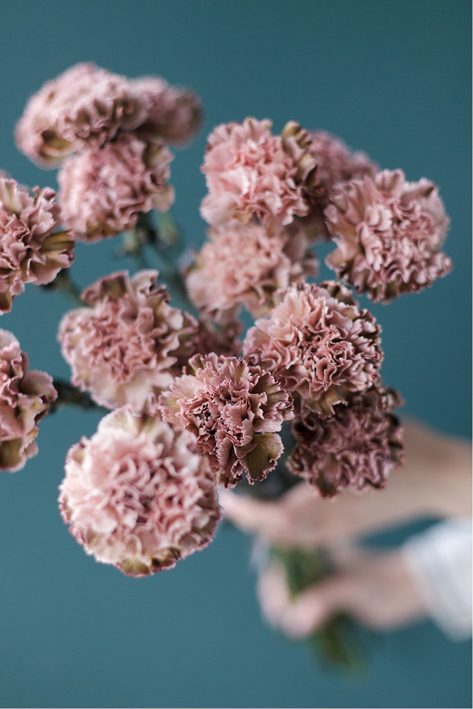 Гвоздика Винтаж - с добавлением зелени