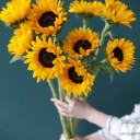 Подсолнух - миниатюра