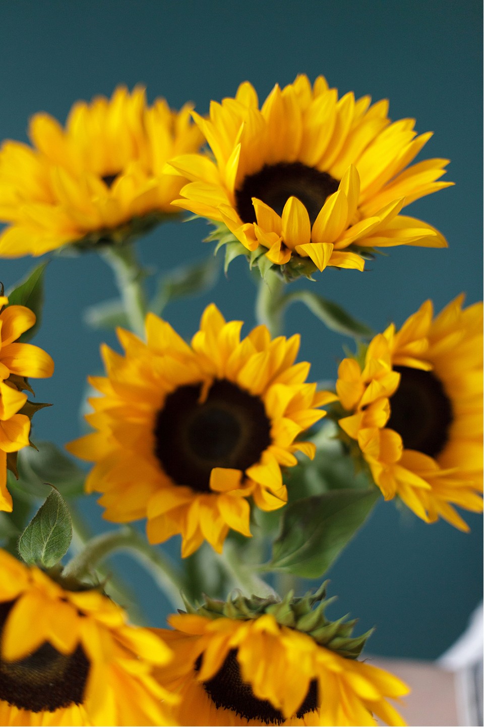 Подсолнух - с добавлением зелени