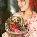 Флорариум Алый сад - миниатюра