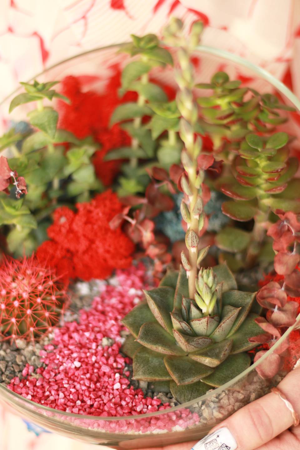 Флорариум Алый сад - подарочное оформление