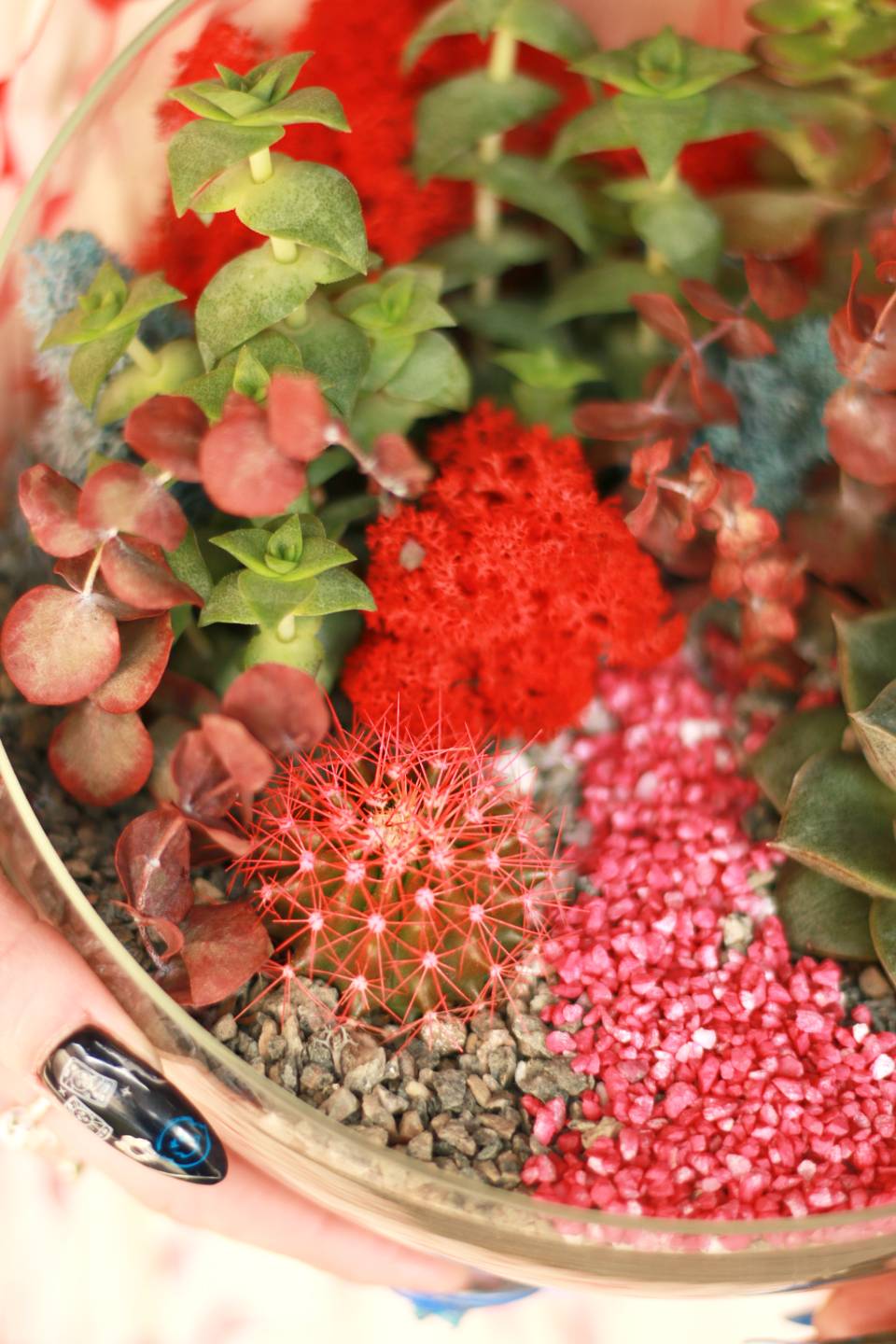 Флорариум Алый сад - с добавлением зелени