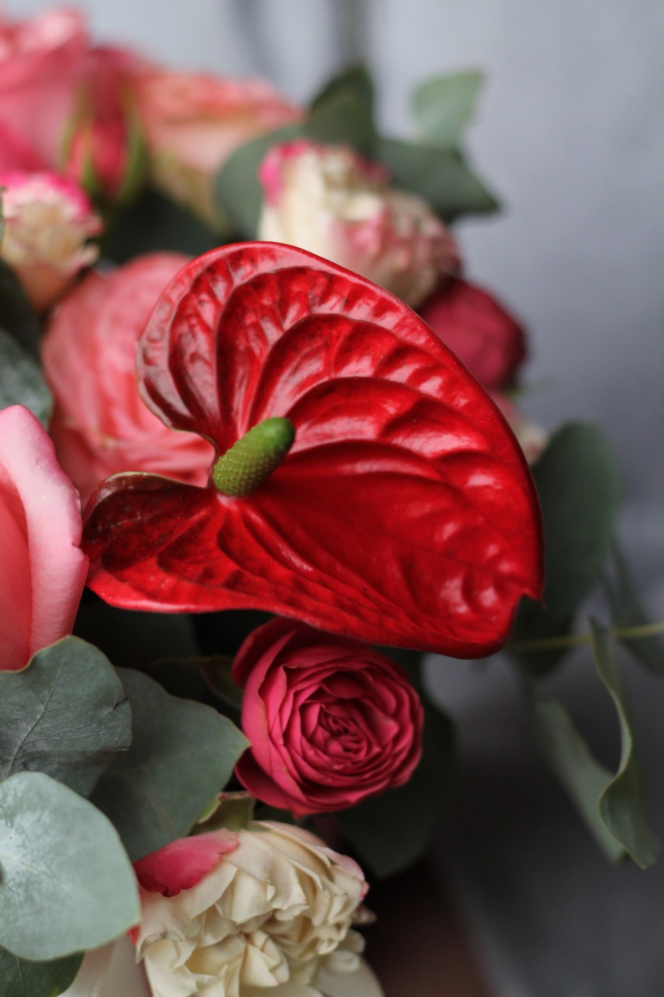 Композиция Донна Роза - подарочное оформление