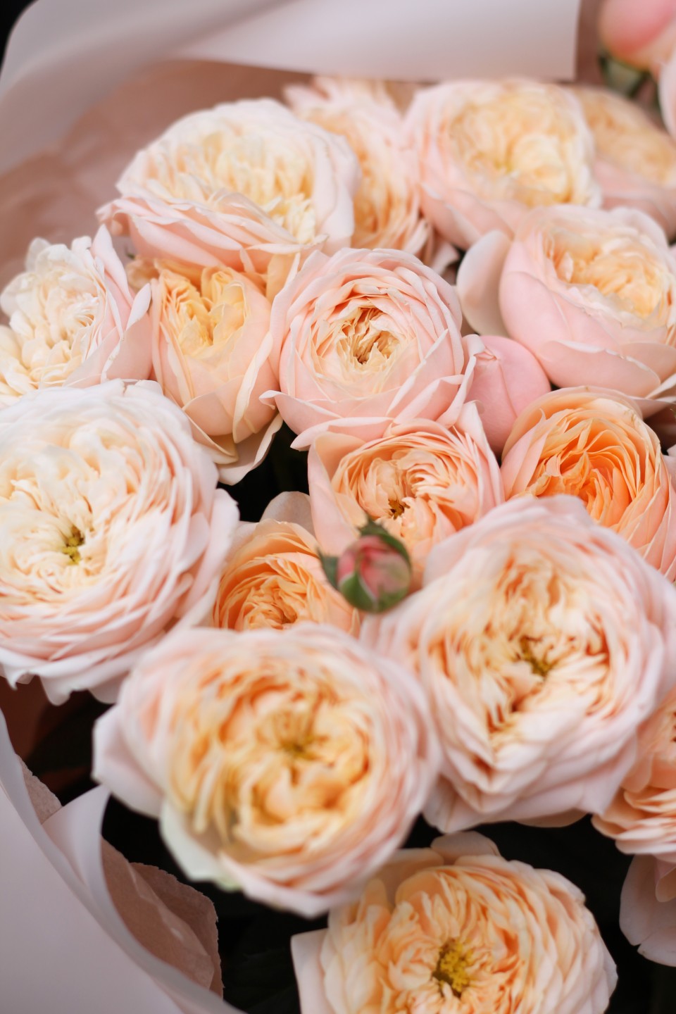 Букет Родос - с доставкой по Минску