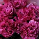 Букет Гламурная дива - с добавлением зелени - миниатюра 