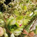 Букет На склоне Холмов - с добавлением зелени - миниатюра 