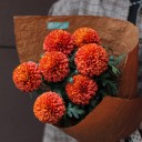 Букет Мишутка - с доставкой по Минску - миниатюра