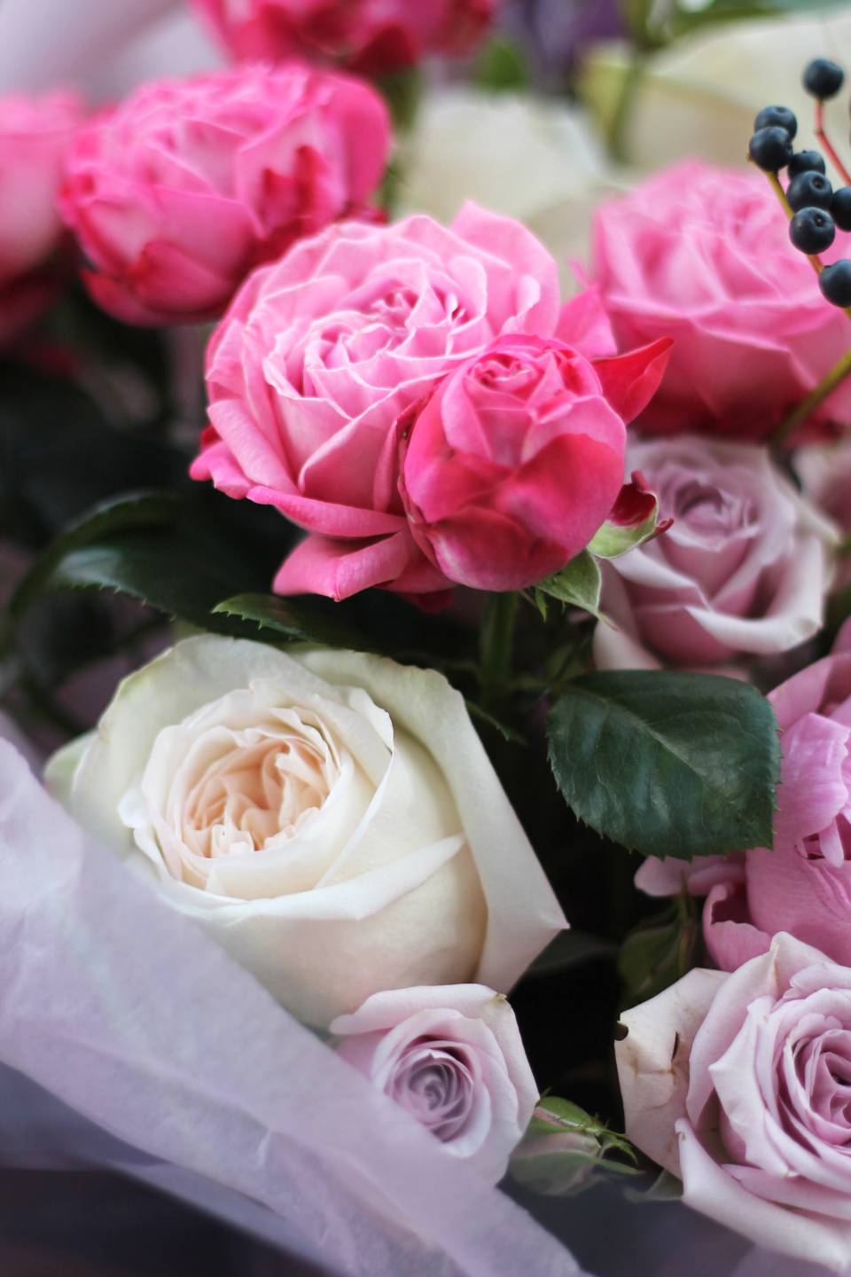 Букет Кляйн 7