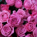 Букет Роззе - с доставкой по Минску - миниатюра