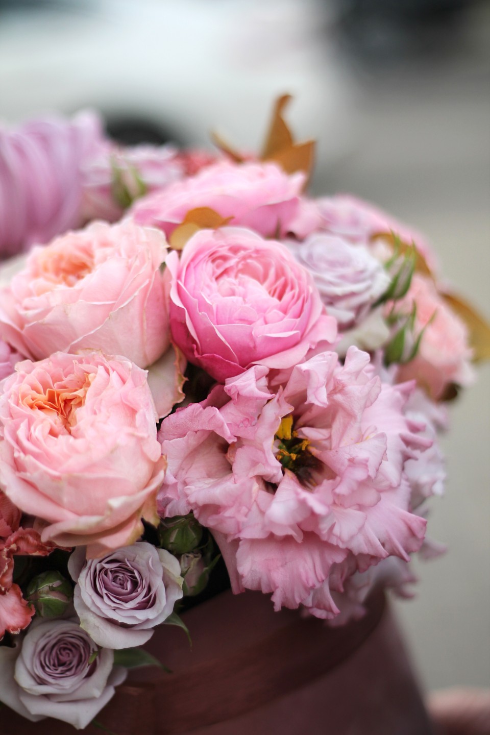 Композиция Асфоделий 10