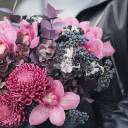 Композиция в черной коробке Эдди - миниатюра 11