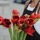 Амариллис Нимф - подарочное оформление - миниатюра