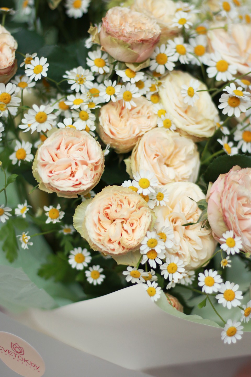 Букет  Рафаэль - с доставкой по Минску