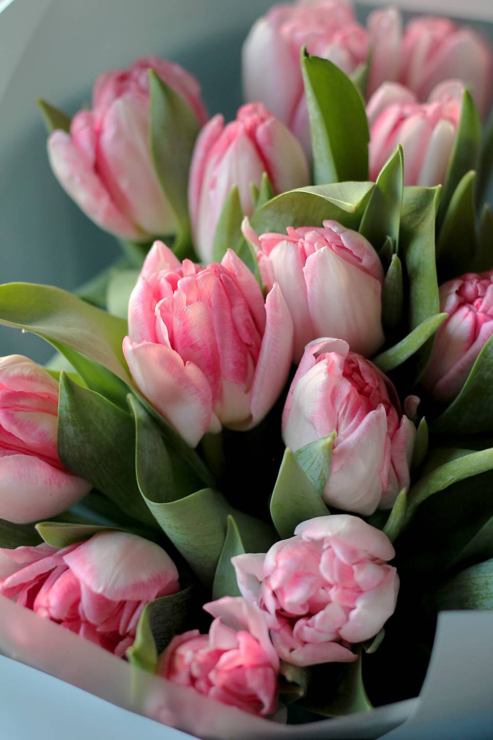 Букет Миссури  - с добавлением зелени