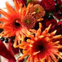 Конверт Мелоди - с доставкой по Минску - миниатюра