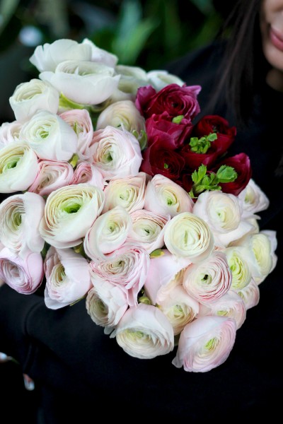 Ранункулюс Ханой