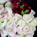 Ранункулюс Ханой - с добавлением зелени - миниатюра 