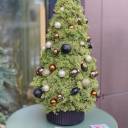 Ель новогодняя Фортуна - миниатюра