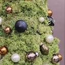 Ель новогодняя Фортуна - с доставкой по Минску - миниатюра