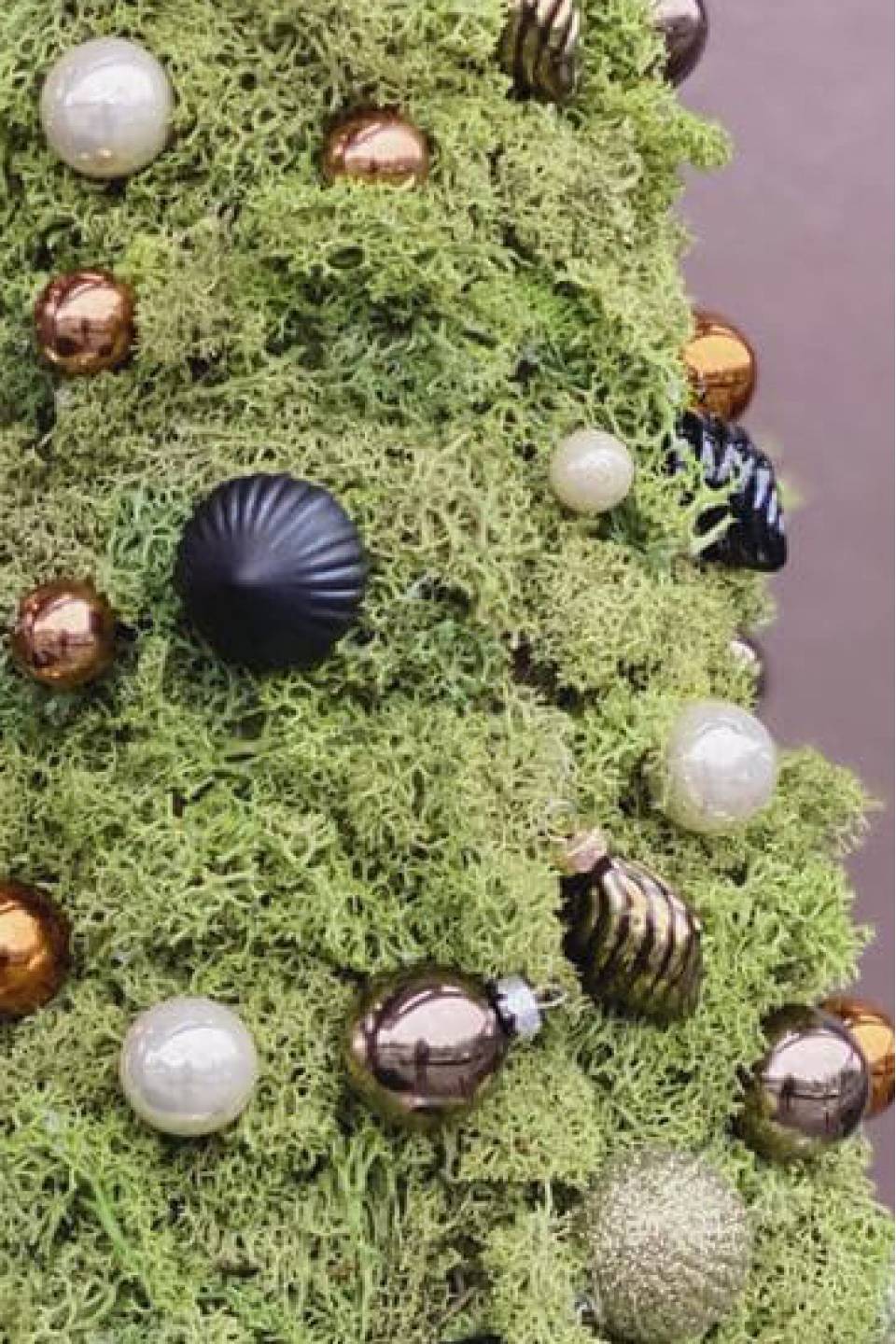 Ель новогодняя Фортуна - с доставкой по Минску