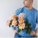 Роза французская Шиммер - с доставкой по Минску - миниатюра