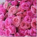 Букет Милуна - миниатюра