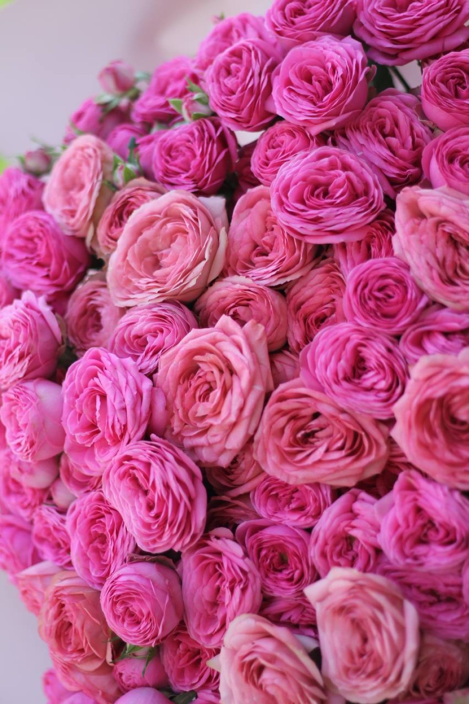 Букет Милуна