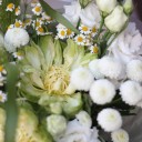 Букет Дайли - миниатюра