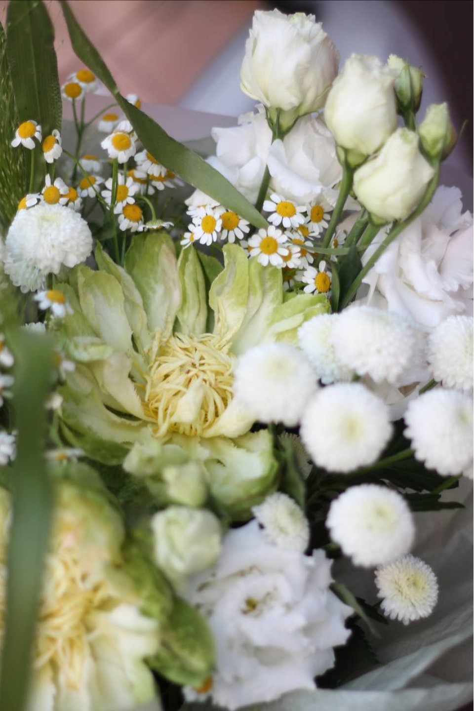 Букет Дайли