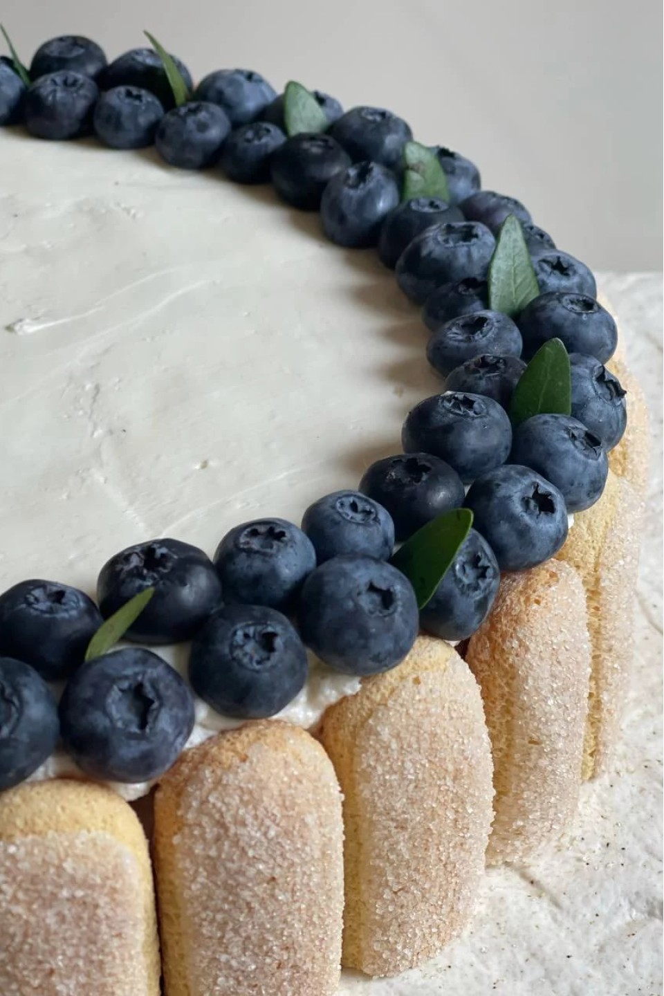 Дамские пальчики