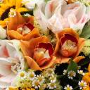 Букет Солнечный луч - подарочное оформление - миниатюра