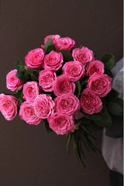 Роза пионовидная Пинк Пэшн(Pink Passion)